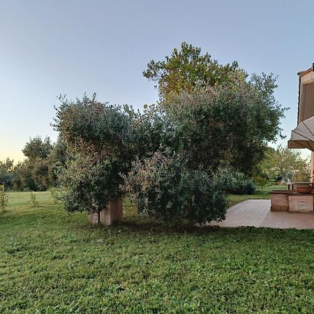 Agriturismo Fontelupo Bracciano  Exterior foto
