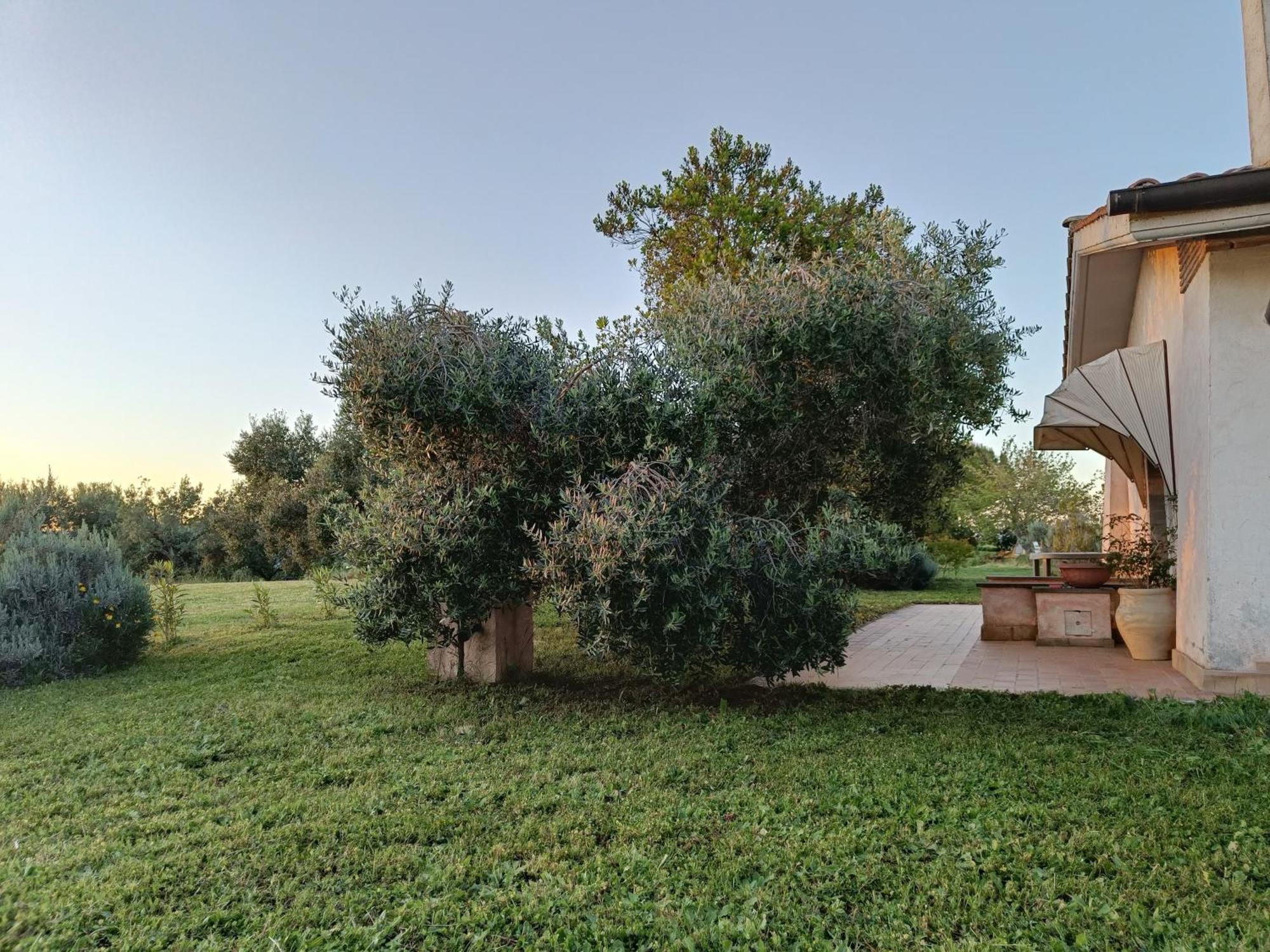Agriturismo Fontelupo Bracciano  Exterior foto
