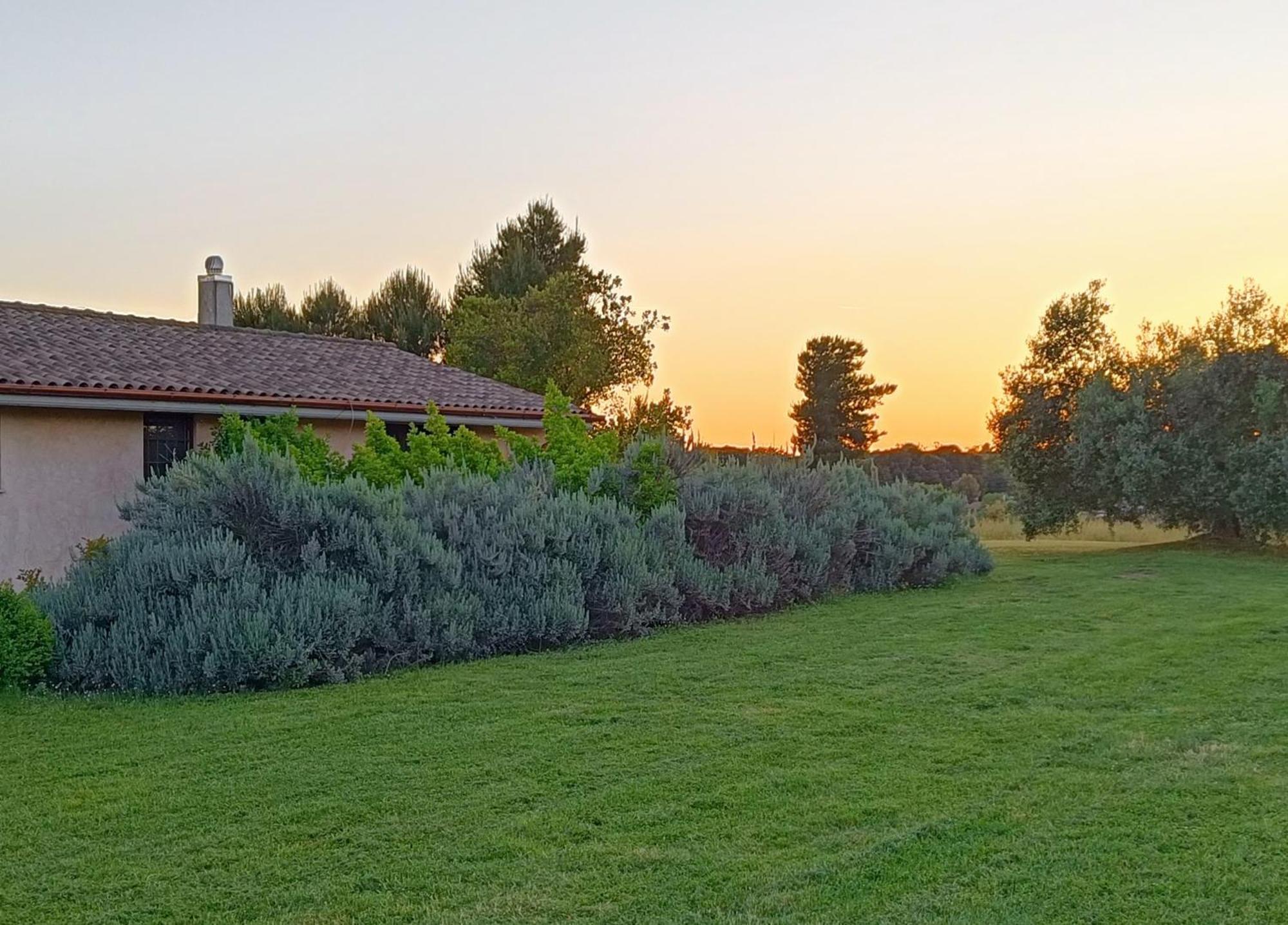 Agriturismo Fontelupo Bracciano  Exterior foto