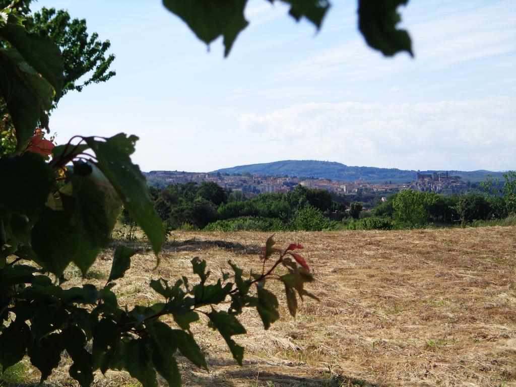 Agriturismo Fontelupo Bracciano  Exterior foto